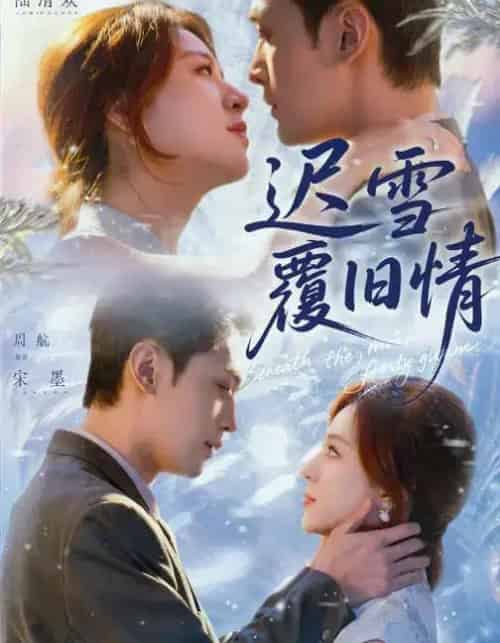 迟雪覆旧情(62集全)高曼尔&周航-搜外项目网