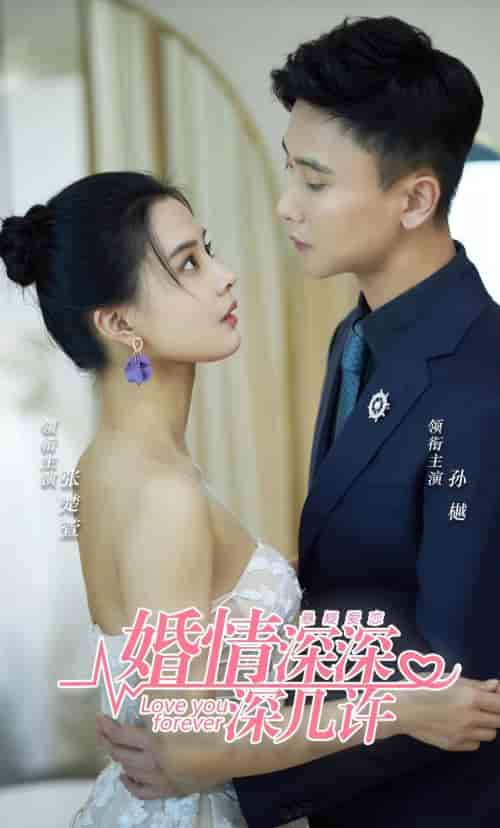 婚情深深深几许（80集）孙樾-搜外项目网