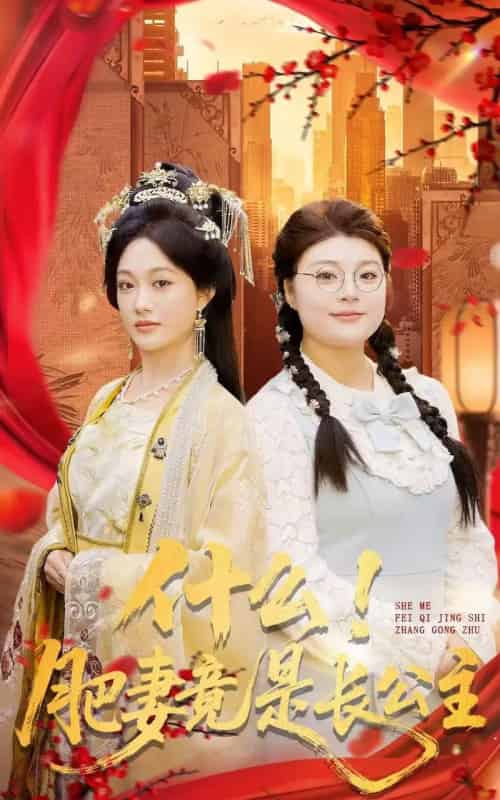 什么！肥妻竟是长公主（92集全）张亚迪＆刘六六-搜外项目网