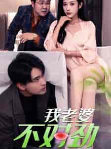 我老婆不对劲（34集全）林琦婷-搜外项目网