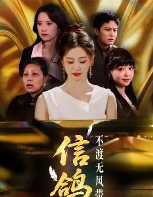 信鸽不渡无风带（65集）杨雨萌-搜外项目网