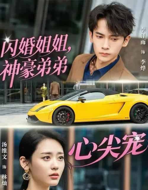 闪婚姐姐，神豪弟弟心尖宠（54集全）李泽雨＆汤维文-搜外项目网