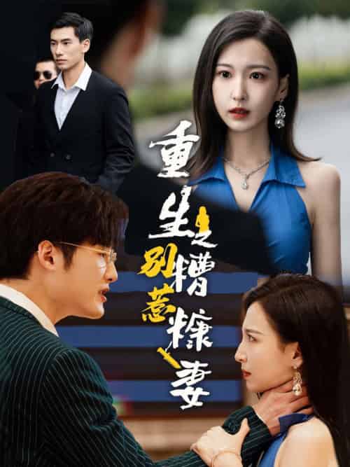 重生之别惹糟糠妻（59集全）-搜外项目网