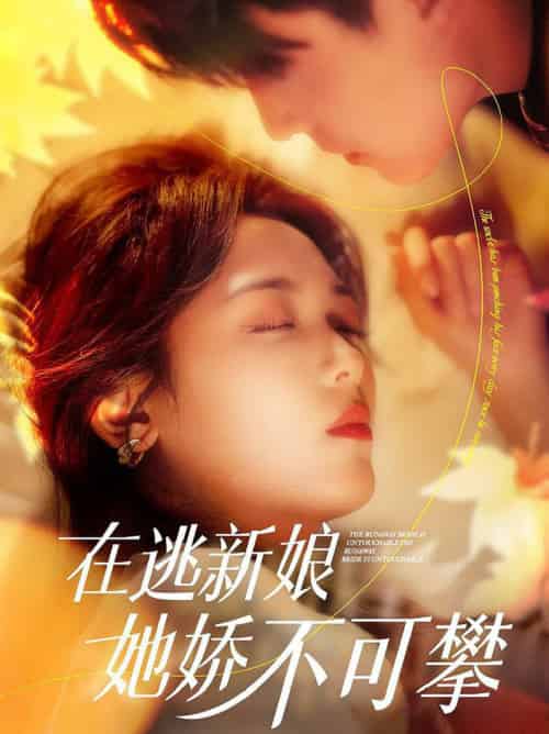 在逃新娘她娇不可攀（90集全）刘萧旭＆李雪阳-搜外项目网