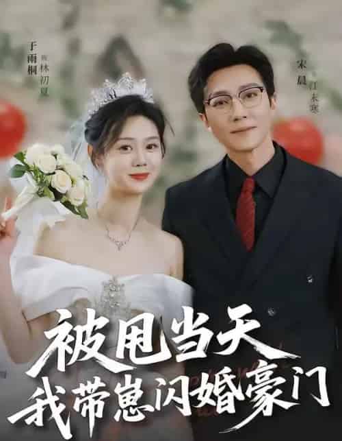 被甩当天我带崽闪婚豪门（70集全）宋晨＆于雨桐-搜外项目网