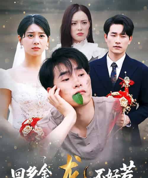 回乡金龙不好惹（74集）薛海威＆徐海文-搜外项目网