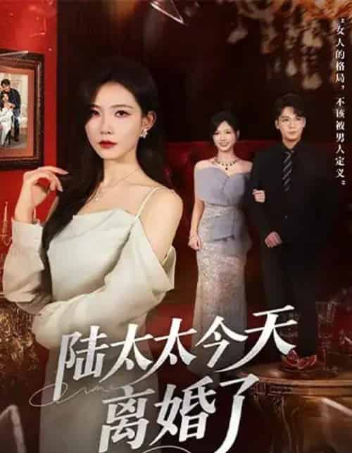 陆太太今天离婚了（59集全）刘灿＆丁敬一 - 搜外短剧