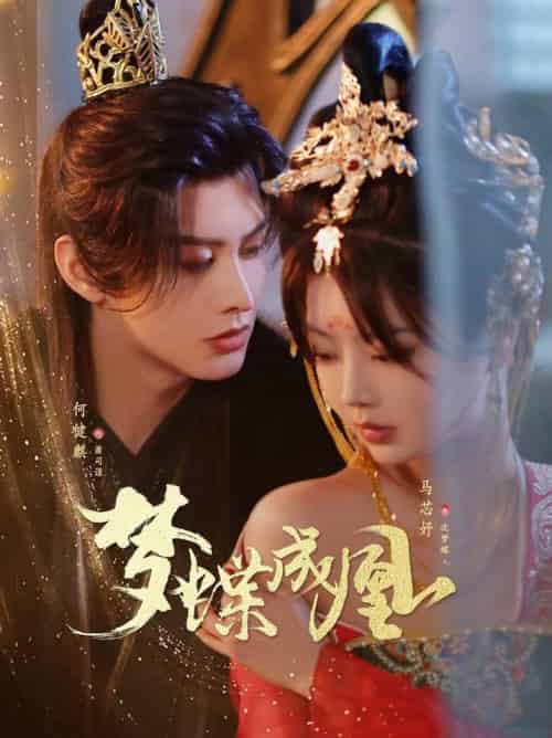 梦蝶成凰(71集全)何健麒&马芯妤-搜外项目网