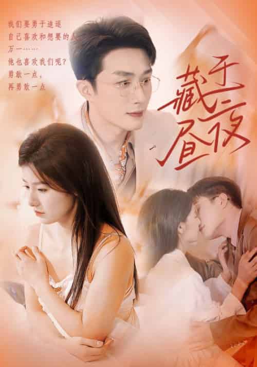 藏于昼夜（80集全）叶庭＆王槿-搜外项目网