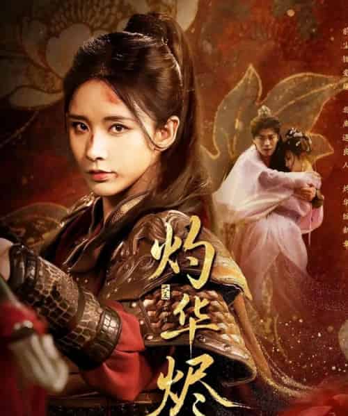 灼华烬（61集）丁晓＆苏逸阳-搜外项目网