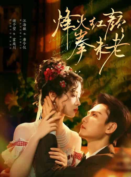 烽火红颜拳未老（53集全）谢予望＆汪海敏-搜外项目网