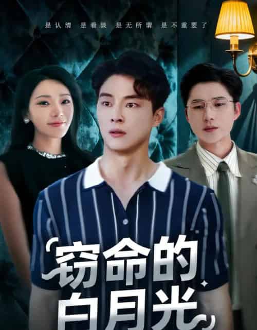窃命的白月光（46集全）佳音＆刘炳卓-搜外项目网