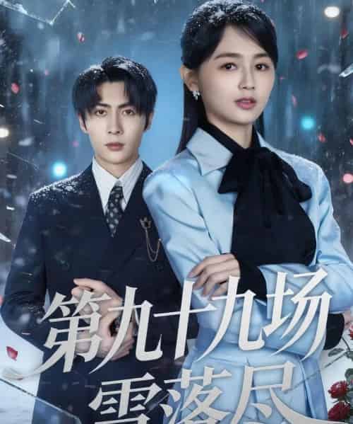 第九十九场雪落尽（51集全）王子林＆郑初晨-搜外项目网