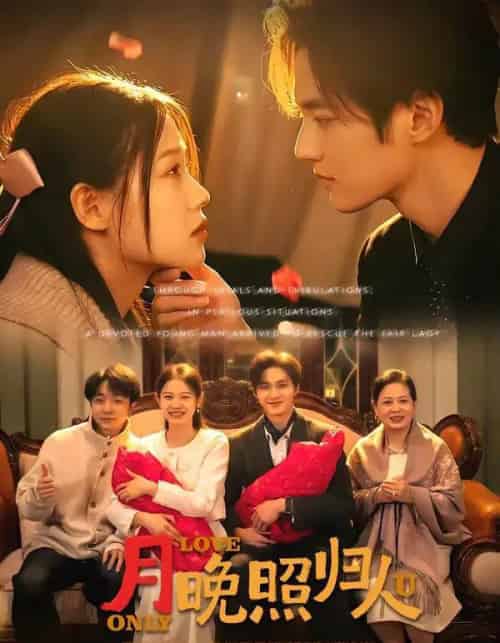 月晚照归人（50集全）齐紫涵＆聂文华-搜外项目网