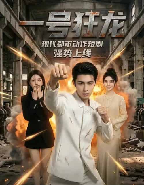 一号狂龙（81集全）AI-搜外项目网