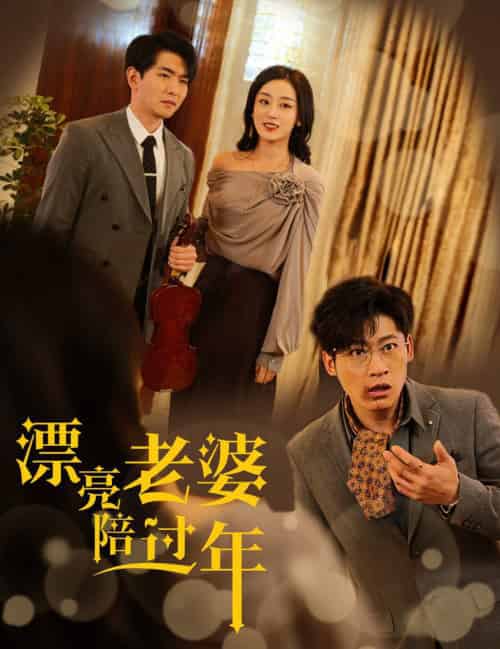 漂亮老婆陪过年＆蛇年大吉之爱情事业双丰收（60集全）张婉琳-搜外项目网