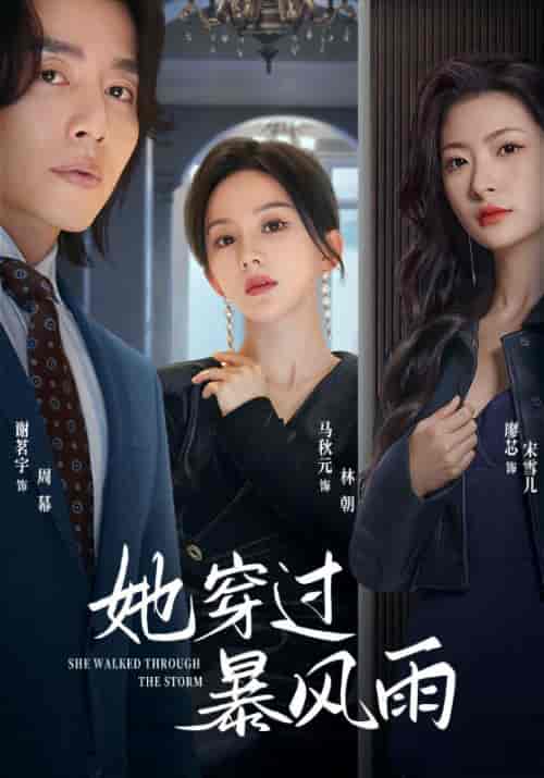 她穿过暴风雨(71集)马秋元-搜外项目网