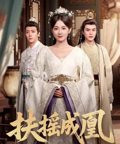 扶摇成凰（30集）何索＆鲁芳岐-搜外项目网