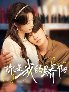 你是我的骄阳(100集全)王小亿&陈云廷-搜外项目网