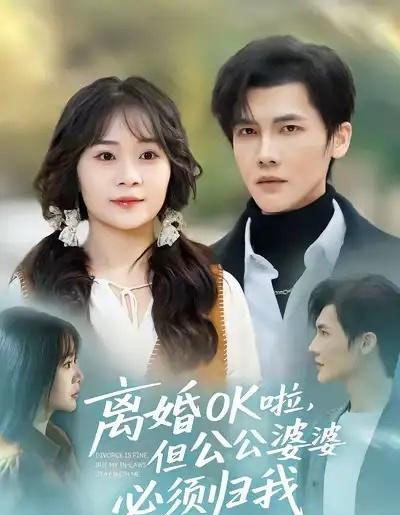 离婚OK啦,但公公婆婆必须归我(81集全)蒋辰瑞&李雨桐-搜外项目网