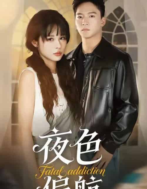 夜色偏航(68集全)朱新辉&洪奕昕-搜外项目网