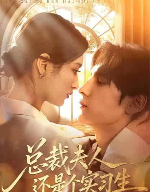 总裁夫人还是个实习生（65集全）李佳慧＆于散-搜外项目网