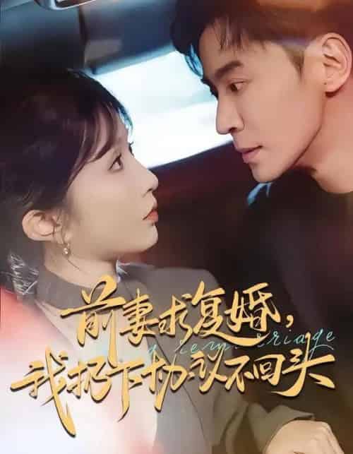 前妻求复婚,我扔下协议不回头(74集全)王璐&程七月-搜外项目网