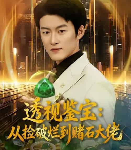 透视鉴宝：从捡破烂到赌石大佬（80集全）李佳乐＆姜博龙-搜外项目网