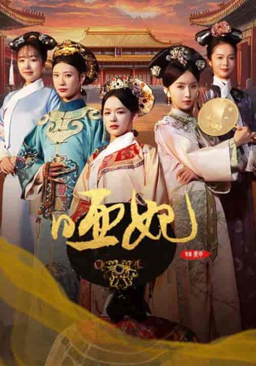 哑妃（108集全）余茵-搜外项目网