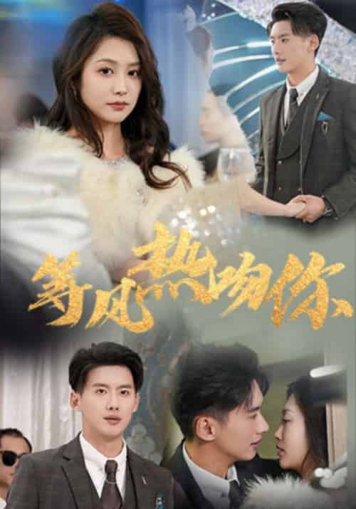 等风热吻你(31集全)徐铭泽&李沿熹-搜外项目网