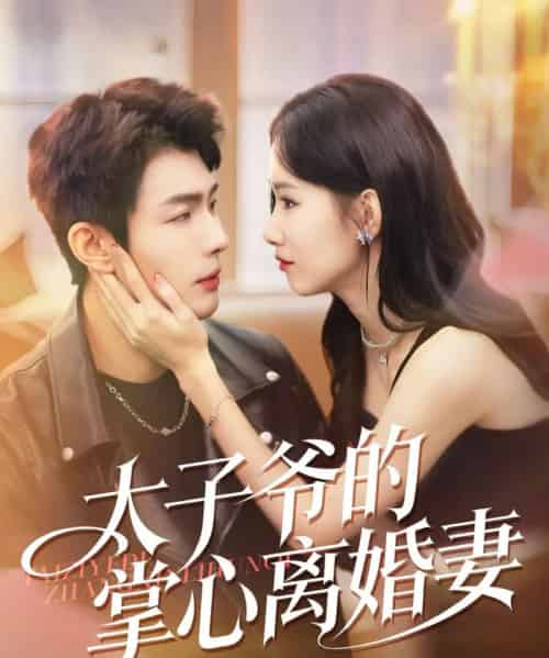 太子爷的掌心离婚妻（76集全）张培君＆杨云绚 - 搜外短剧