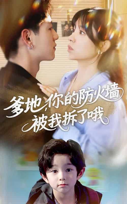爹地你的防火墙被我拆了哦(58集)张心怡&王金宝-搜外项目网