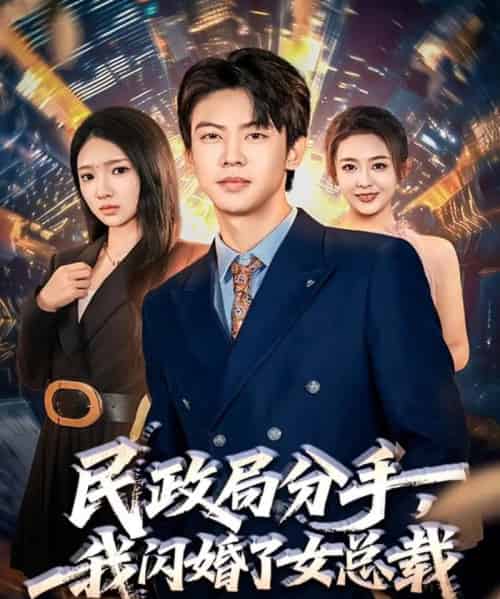 民政局分手，我闪婚了女总裁（72集全）刘相奇＆朱洙-搜外项目网