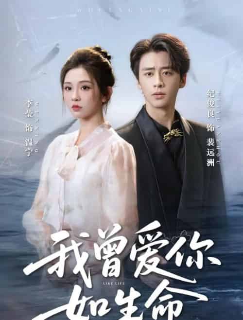 我曾爱你如生命＆宁夜向远（61集全）纪俊良＆李莹-搜外项目网