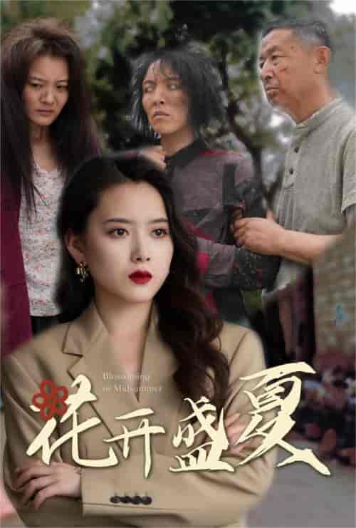 花开盛夏（64集）-搜外项目网