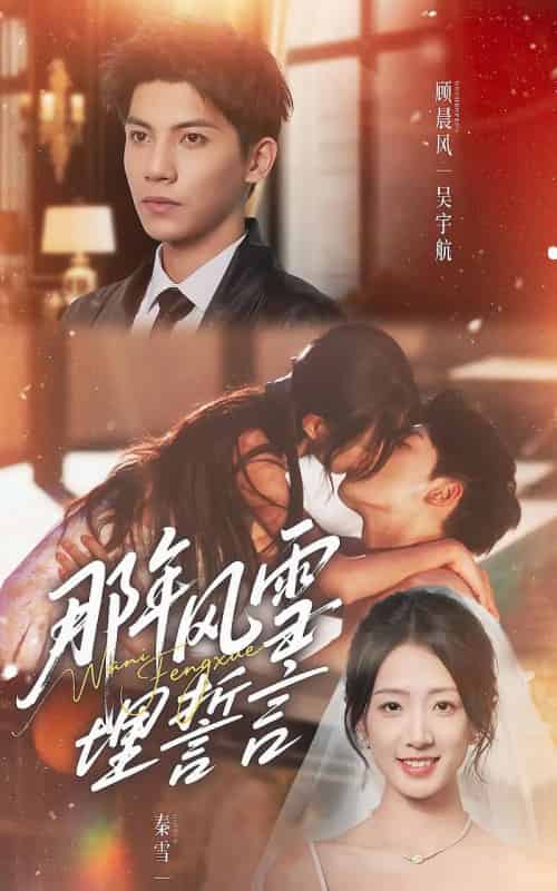 那年风雪埋誓言(70集全)吴宇航&姜睿佳-搜外项目网