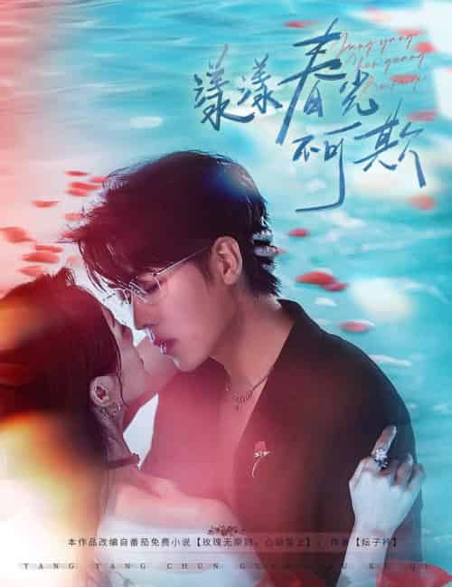 漾漾春光不可欺（66集全）卡戎＆徐思祁-搜外项目网