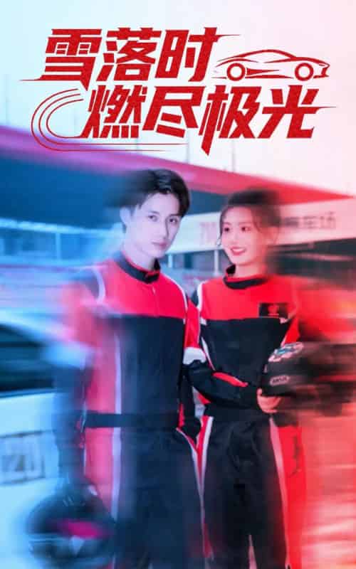 雪落时燃烬极光(77集全)韩金明&瓜瓜-搜外项目网