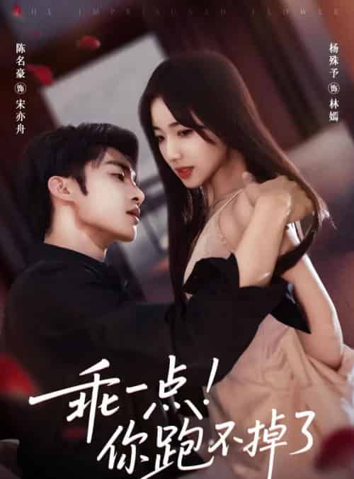 乖一点!你跑不掉了(85集全)陈名豪&杨殊予-搜外项目网