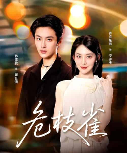 危枝雀（64集全）蒋袁娅蓉＆孙嘉俊-搜外项目网