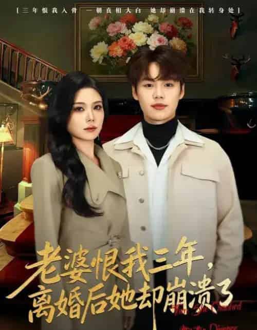 老婆恨我三年，离婚后她却崩溃了（80集全）魏森焱＆杨韩柠-搜外项目网