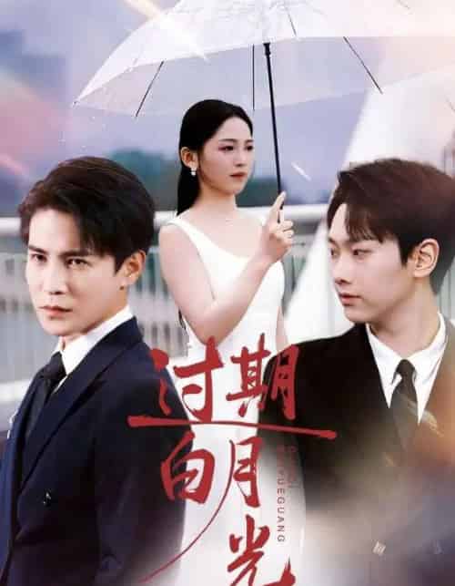 过期白月光（80集全）崔秀子＆李子锋-搜外项目网