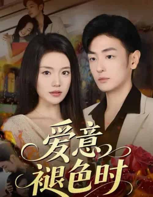 爱意褪色时（46集全）陈墁柯＆李向博-搜外项目网