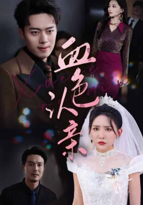 血色认亲（33集全）石耀阳＆林雨薇-搜外项目网