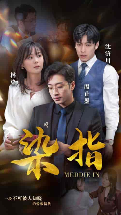 染指（100集）权笑涵-搜外项目网