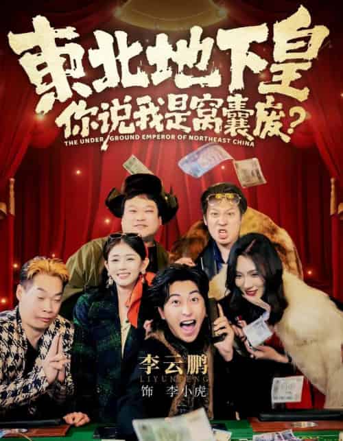 东北地下皇，你说我是窝囊废（72集全）李云鹏＆郑其妙＆闫佳颖-搜外项目网