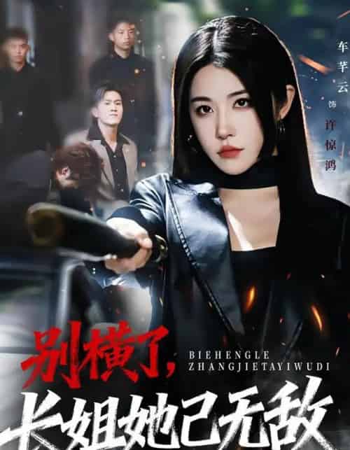 别横了，长姐她已无敌（75集全）李家宝＆车芊云＆孙启鑫-搜外项目网