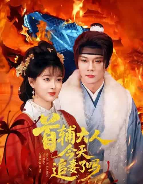 首辅大人今天追妻了吗(74集全)李俊辰&扬帆-搜外项目网