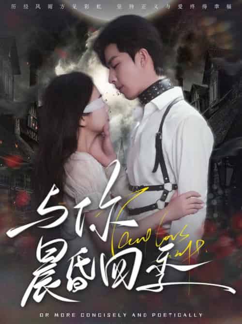 与你晨昏四季（100集全）孙志强＆李欣怡-搜外项目网