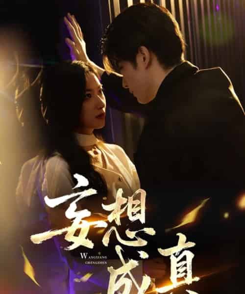 妄想成真（78集全）裘哲夫＆张张（张玉娇）-搜外项目网